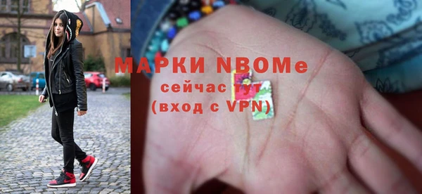 шишки Алексин