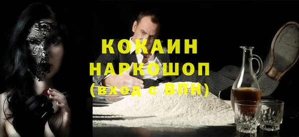 шишки Алексин