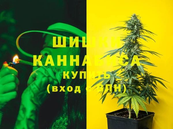 шишки Алексин