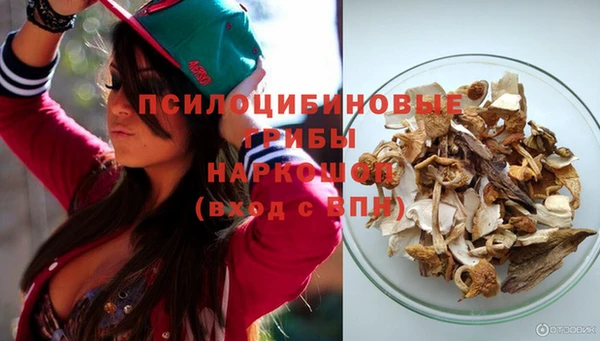 шишки Алексин