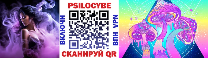 Галлюциногенные грибы Psilocybe  хочу наркоту  Александровское 